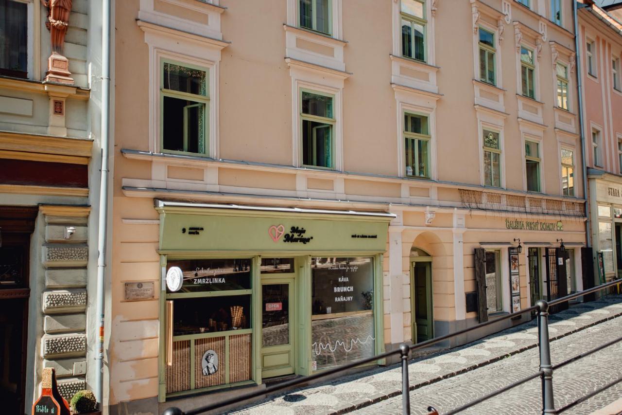 Priestranny Apartman Moja Marina V Srdci Stiavnice Banská Štiavnica エクステリア 写真